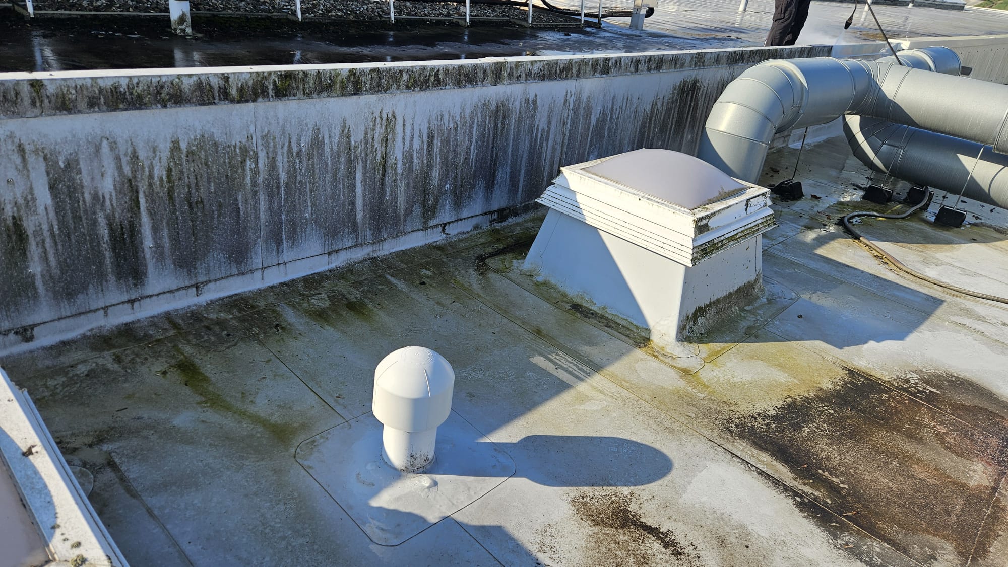 Flachdach Attika extremer Algenbefall Vorher