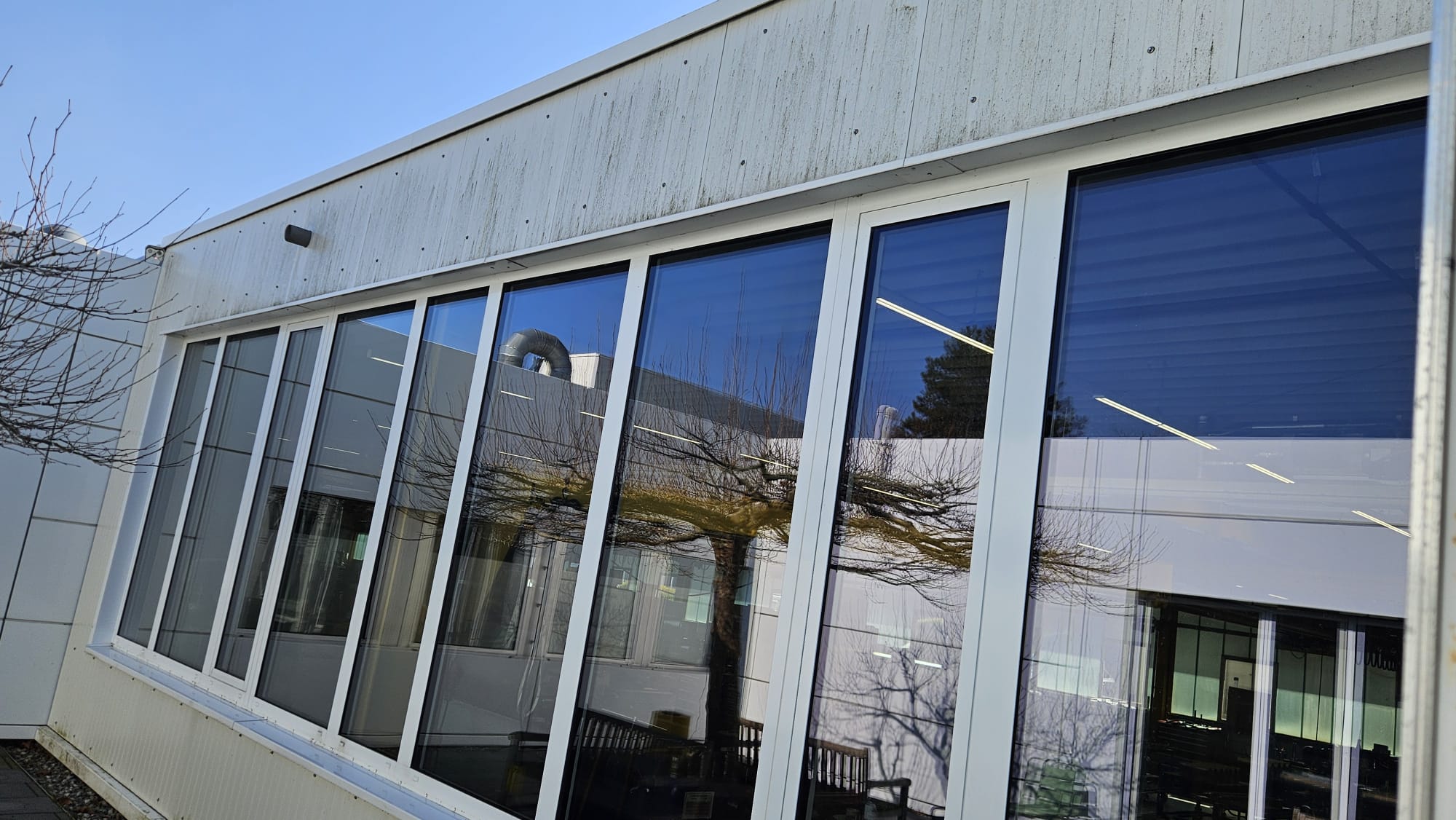 Gewerbefassade Sockelbereich Algenstreifen Vorher