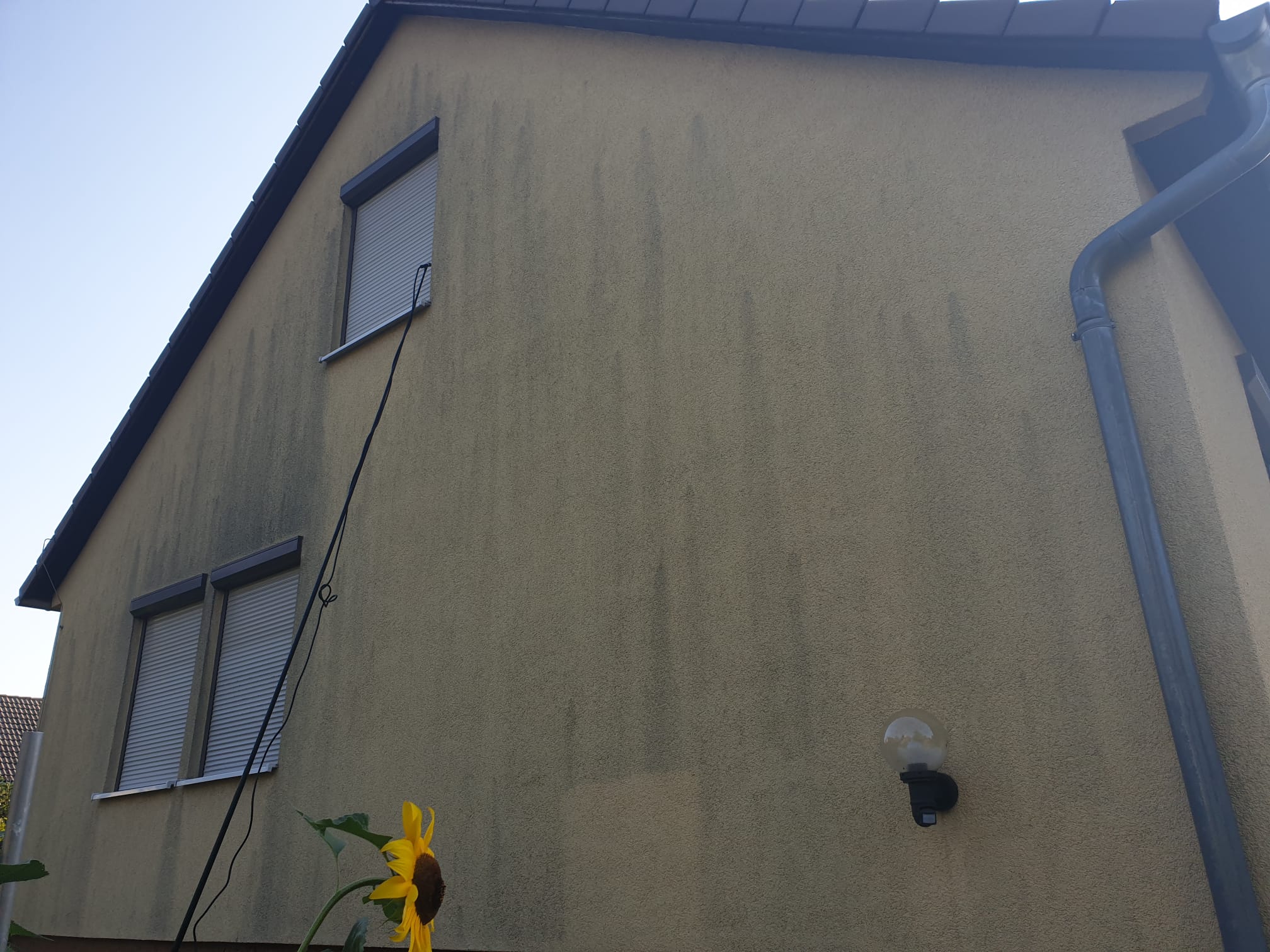 Fassadenreinigung Einfamilienhaus Vorher