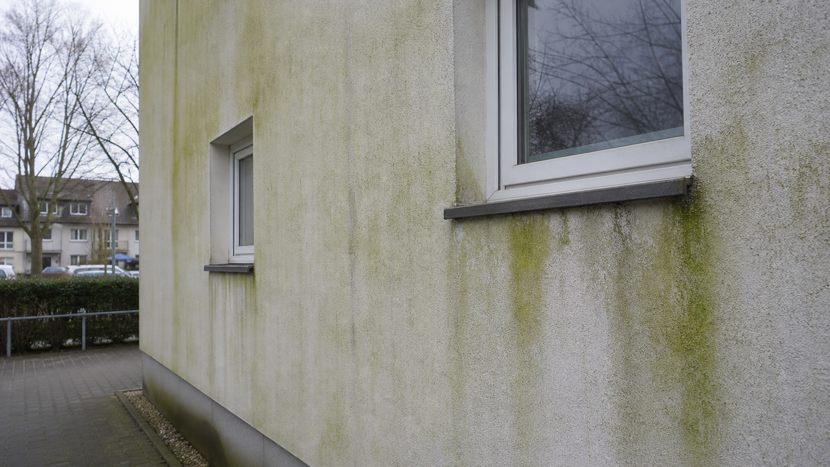 Algenbefall auf Fassade in Hannover – grüner Bewuchs auf Putzfassade vor professioneller Entfernung