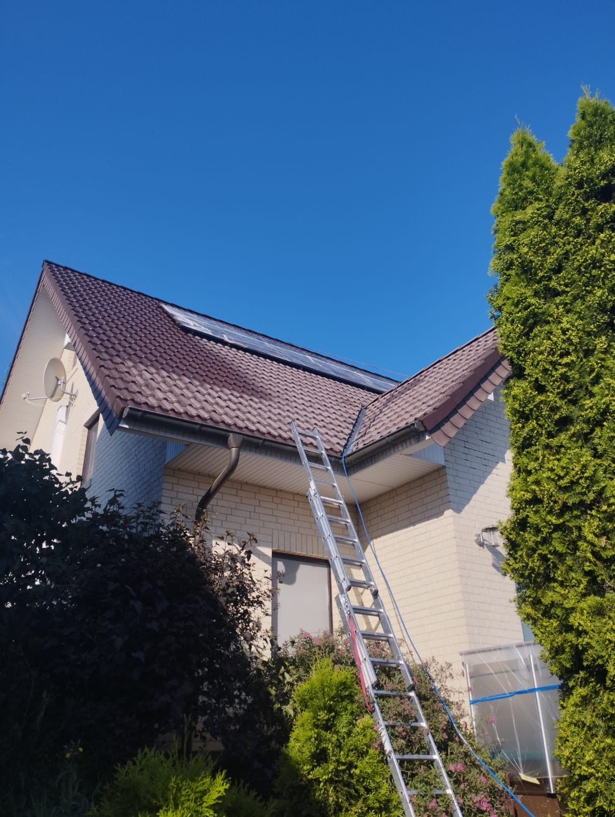 Dachreinigung Steildach Nachher