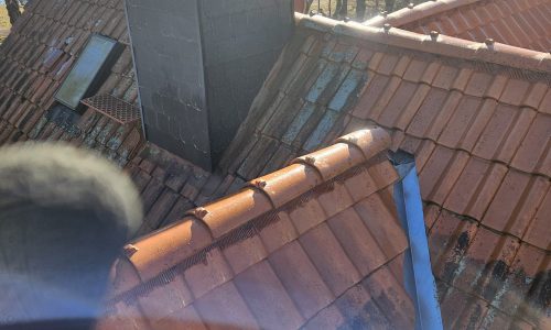 Dachreinigung Hameln 1